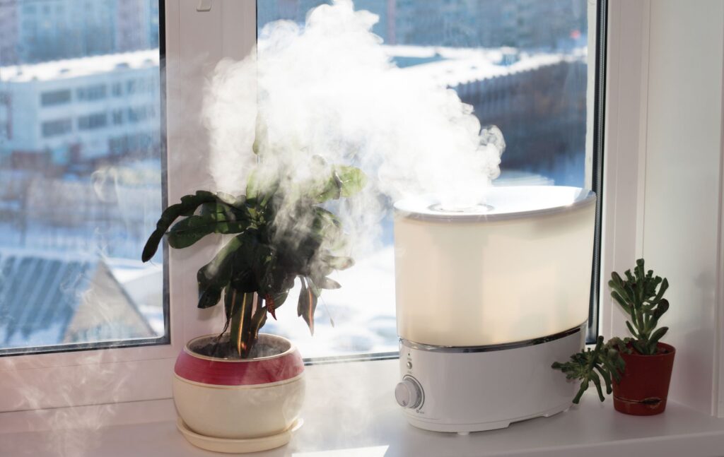 Will a humidifier help me stop snoring?